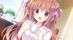 Amairo Chocolate * АВТОДОСТАВКА STEAM GIFT РОССИЯ
