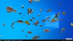 Fish on the desktop * АВТОДОСТАВКА STEAM GIFT РОССИЯ