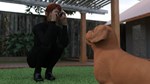 Westview Academy - Season 1 * STEAM GIFT РОССИЯ