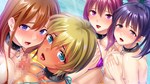 License to Breed * АВТОДОСТАВКА STEAM GIFT РОССИЯ