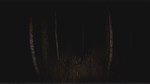 Paranormal VHS * АВТОДОСТАВКА STEAM GIFT РОССИЯ