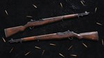 Insurgency: Sandstorm - Woodburn Weapon Skin Set 💎 DLC