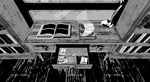 MY DAUGHTER IS A CULTIST! SE * АВТОДОСТАВКА STEAM GIFT