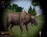 Hunting Unlimited 2010 *АВТОДОСТАВКА STEAM РОССИЯ