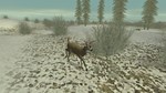 Hunting Unlimited 2 * АВТОДОСТАВКА STEAM РОССИЯ