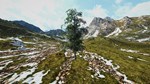 СИМУЛЯТОР СИБИРСКОЙ БЕРЕЗЫ * STEAM GIFT РОССИЯ