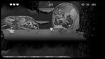 Lil Baby Poop´s NIGHTMARES * АВТОДОСТАВКА STEAM GIFT