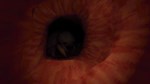 Revenge Of The Colon * АВТОДОСТАВКА STEAM РОССИЯ