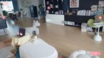 Love Is All Around-Love In The Room * STEAM РОССИЯ