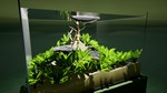 Fish Game * АВТОДОСТАВКА STEAM GIFT РОССИЯ