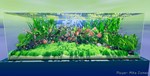 Fish Game * АВТОДОСТАВКА STEAM GIFT РОССИЯ