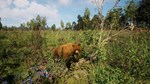 Симулятор Русской Души *АВТОДОСТАВКА STEAM GIFT РОССИЯ