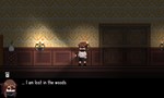 House of Lust * АВТОДОСТАВКА STEAM РОССИЯ