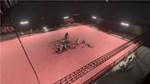 Street Warriors Online: Premium Pack * DLC STEAM GIFT