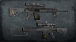 Squad Weapon Skins - Precision Strike Pack * DLC STEAM