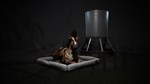 Icarus: Creature Comforts Pack DLC STEAM GIFT РОССИЯ