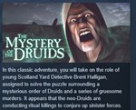 The Mystery of the Druids *STEAM KEY РФ+СНГ СТИМ КЛЮЧ