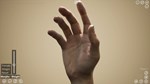 HAELE 3D - Hand Poser Lite * АВТОДОСТАВКА STEAM РОССИЯ