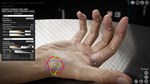 HAELE 3D - Hand Poser Lite * АВТОДОСТАВКА STEAM РОССИЯ