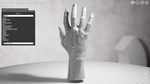 HAELE 3D - Hand Poser Lite * АВТОДОСТАВКА STEAM РОССИЯ