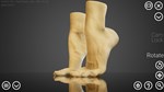 HAELE 3D - Feet Poser Lite * АВТОДОСТАВКА STEAM РОССИЯ