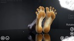 HAELE 3D - Feet Poser Lite * АВТОДОСТАВКА STEAM РОССИЯ