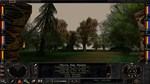 Wizardry 8 * АВТОДОСТАВКА STEAM GIFT РОССИЯ