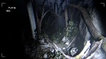 Together After Dark * АВТОДОСТАВКА STEAM РОССИЯ
