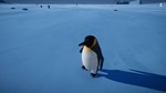 Penguin Helper * АВТОДОСТАВКА STEAM GIFT РОССИЯ