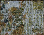 The Entente Gold * АВТОДОСТАВКА STEAM GIFT РОССИЯ