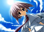 Wonderful Everyday Down the Rabbit-Hole * STEAM GIFT