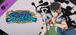 NBUNSC - DLC Pack 4 * DLC STEAM GIFT РОССИЯ