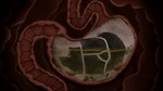PIGROMANCE * АВТОДОСТАВКА STEAM GIFT РОССИЯ
