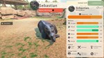 Zoo Simulator * АВТОДОСТАВКА STEAM РОССИЯ