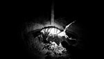 FOREST GOD * АВТОДОСТАВКА STEAM РОССИЯ