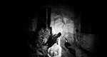 FOREST GOD * АВТОДОСТАВКА STEAM РОССИЯ
