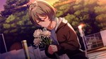 SINce memories: Off The Starry Sky STEAM GIFT РОССИЯ