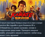 Karate Survivor * АВТОДОСТАВКА STEAM РОССИЯ