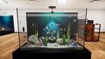 Aquarist - Aquatic Supermarket DLC * DLC STEAM РОССИЯ