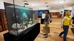 Aquarist - Aquatic Supermarket DLC * DLC STEAM РОССИЯ
