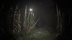 Unknown Tapes * АВТОДОСТАВКА STEAM РОССИЯ
