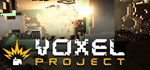 Voxel Project VR * АВТОДОСТАВКА STEAM РОССИЯ