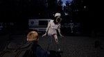 Last Remains * АВТОДОСТАВКА STEAM РОССИЯ