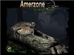 Amerzone - The Explorer´s Legacy STEAM KEY REGION FREE