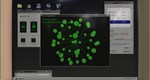 FACEMINER * АВТОДОСТАВКА STEAM РОССИЯ
