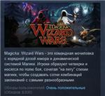 Magicka Wizard Wars Paradox Playtpus Robe DLC STEAM KEY