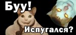 Буу! Испугался? * АВТОДОСТАВКА STEAM РОССИЯ