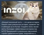 inZOI * АВТОДОСТАВКА STEAM РОССИЯ