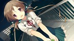 Love, Elections, and Chocolate *STEAM GIFT РОССИЯ