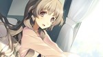 Love, Elections, and Chocolate *STEAM GIFT РОССИЯ